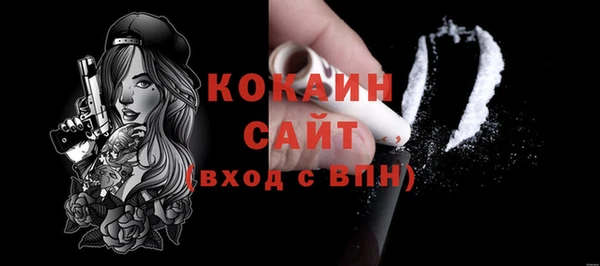 молекула духа Новозыбков