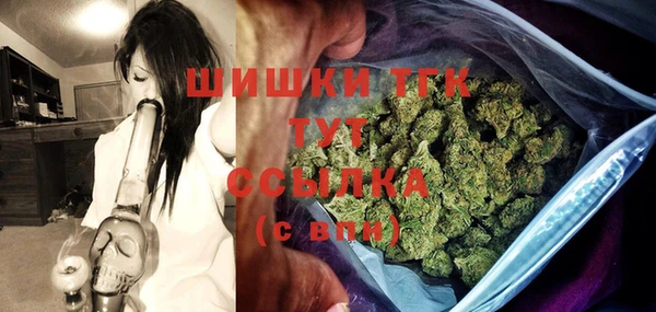 молекула духа Новозыбков