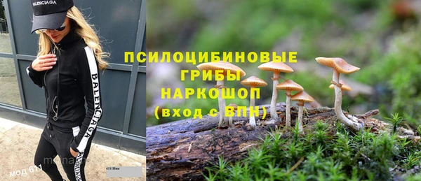 2c-b Новодвинск