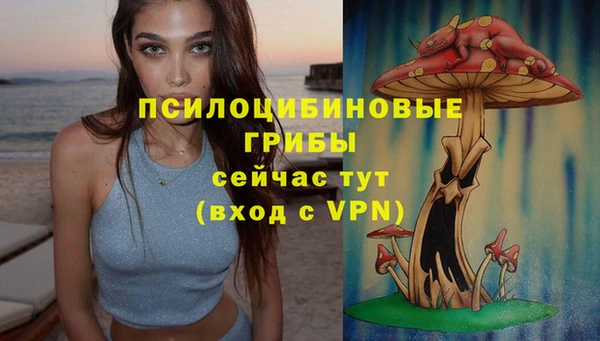 МДПВ Новокубанск