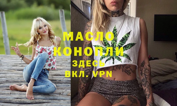 молекула духа Новозыбков