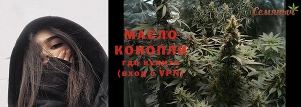молекула духа Новозыбков