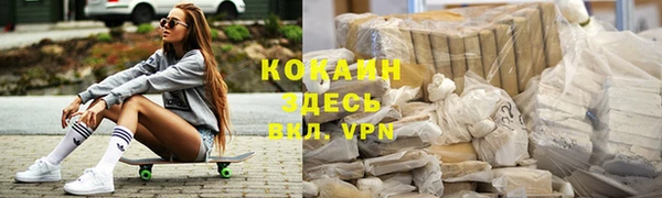 молекула духа Новозыбков