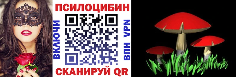 Псилоцибиновые грибы Psilocybe  Лесозаводск 