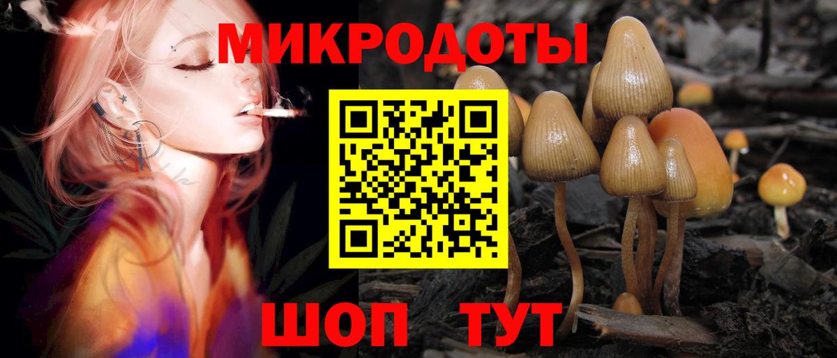 Лесозаводск  купить   Вход с VPN  Галлюциногенные грибы GOLDEN TEACHER 